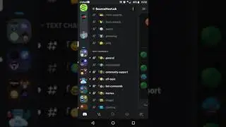 ScarceHost.uk Discord Server Review