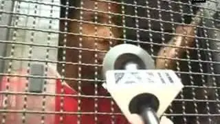 Over 20 FTII students detained