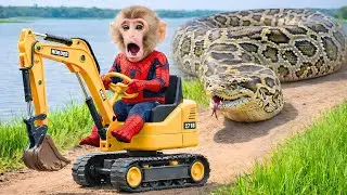 🔥🐒 Monkey NaNa Digs a Water Channel to Save the Fish&hellip; But a Ferocious python Jumps Out! 😱