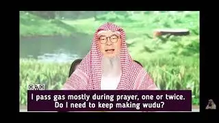 I pass gas (wind) during prayer once or twice, do I need to keep renewing my wudu assim al hakeem