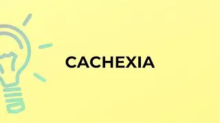 What is the meaning of the word CACHEXIA?