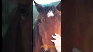 #nature #capcut #travel #mountains #help #subscribe #creative
