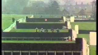 1990 Peter Marsh Limited Handicap Chase