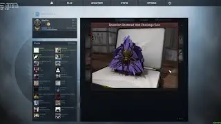 csgo2016