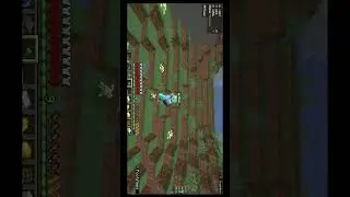 MINECRAFT HARDCORE: NEBRASKA RANT