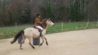 Equifeel Caval Go - Elisa Beulze & Ca Ira, mont&eacute; 1 manche 1