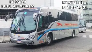 Movimento de Reveillón! Último vídeo de 2025!