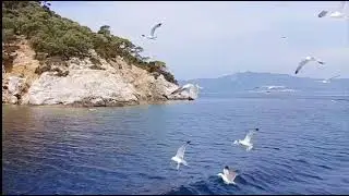 A world without humans