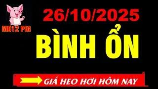 Gi&aacute; heo hơi h&ocirc;m nay 26/10/2025 | B&Igrave;NH ỔN | md12pig #giaheohoihomnay #giaheohoi