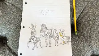 Happy International Zebra Day 2026