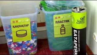 The environmental campaign 