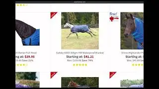 How to save money on horse winter blankets? Where to find discounted horse blankets?
