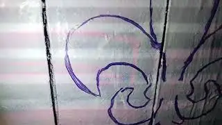 Lilien Test an der Wand mit dem Beamer