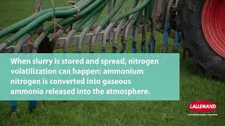 Boost manure management: Why you need a Slurry Inoculant