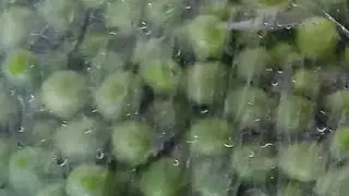 بدأت قناة 