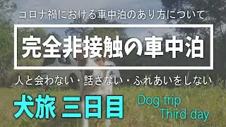 【ジャックラッセルテリアと犬旅】コロナ禍での完全非接触車中泊 三日目　二泊三日誰にも会わなかったよ。Staying in the car with a dog🐶 #NV200