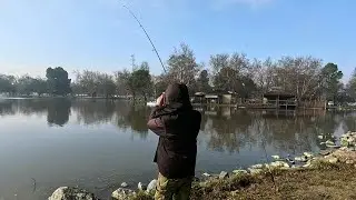 Local Lake Stocks Trout like CRAZY! Are they BITING??