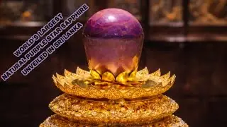 О боже ❣️ Мировой рекорд по драгоценным камням 👉 Крупнейший фиолетовый сапфир из Шри-Ланки #драго...