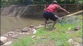 cara cepat,jebak udang,bersama sibocil