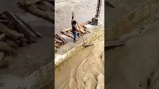 Risked his life to collect woods in flooded Koshi River ⚠️ (India Nepal Border) #koshiriver #shorts
