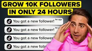 How To Gain 10K REAL Followers on TikTok in Only 24 Hours (get TikTok followers FAST)