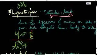 Control and Coordination PART - 2 Class 10 Biology