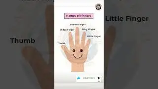 Names of Fingers in English | Learn Finger Names for Kids ✋