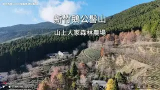 新竹五峰-山上人家森林農場-鵝公髻山