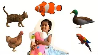 Kids learning animals and numbers in Tamil || Kids learning in Tamil
