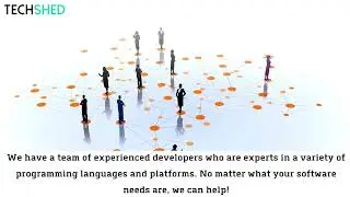 Customized Software: The Future is Now | Techshed Software Development Company