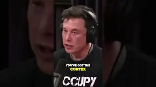 Elon Musk on The Future Connection  Merging with AI for Enhanced Cognitive Abilities