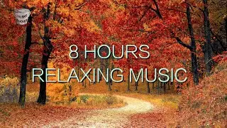 Healing Music | Calming Music | Stress Relief Music | Peaceful Music