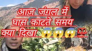 Pahado m kam #Video #shoot video #tranding #pahadi #minivlogkam #deepa  #dhamivlogs 