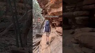 Is this South Australia&rsquo;s BEST hike? 😍 #travelwithkids #travelaustralia #southaustralia #travelvlog