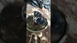 चला bath tub