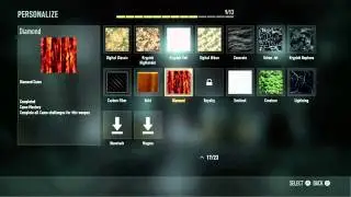 Diamond Camo Glitch?-COD:AW