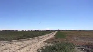 West wings freeflight club