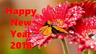 Happy New Year 2018, Wishes, video download,Whatsapp Video,song,countdown,wallpaper,animation