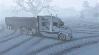 ZIM news Winter storm live update !!!