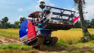 Full Working Best That Full Action Combine Harvester Machine Driving Skills Cool Harvesting Machine