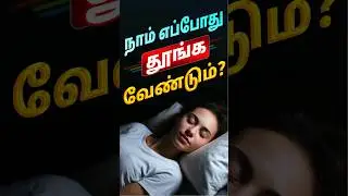 Circadian Rhythm- நாம் எப்போது தூங்க வேண்டும்? |Circadian Rhythm Explained | Dr Bommu Official Tamil