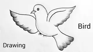Easy Bird Drawing Step By Step | Bird Drawing | How To Draw A Bird Drawing 🐦