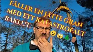 G&aring;r det ens att f&aring; omkull den h&auml;r granen &aring;t det h&aring;llet som jag vill 😬🤷🏽