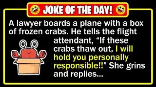 🤣 BEST JOKE OF THE DAY! - An airplane, crabs, a loud lawyer, and sweet justice... | Funny Dad Jokes