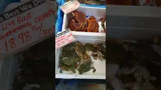 🦀 Crab prices England and Sri-Lanka