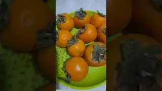 persimmons🍊😛 the best fall fruit #healthy fruits #shorts #shortvideo #viralvideo