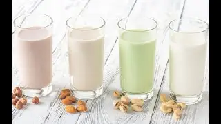 How to Make Cashew Nut Milk in Factory?