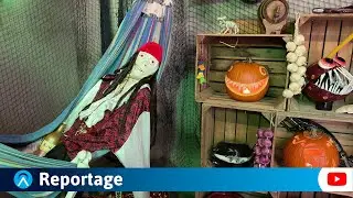 Affen- und Vogelpark lockt zu Halloween mit Grusellabyrinth und Hexengeschichten