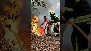 Heartbreaking Leopard Rescue From Raging Forest Fire