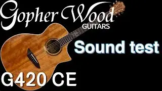 Gopher Wood Guitar - G420CE / Sound Test